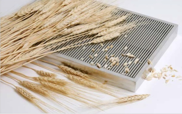 wedge wire Grain Drying Screen